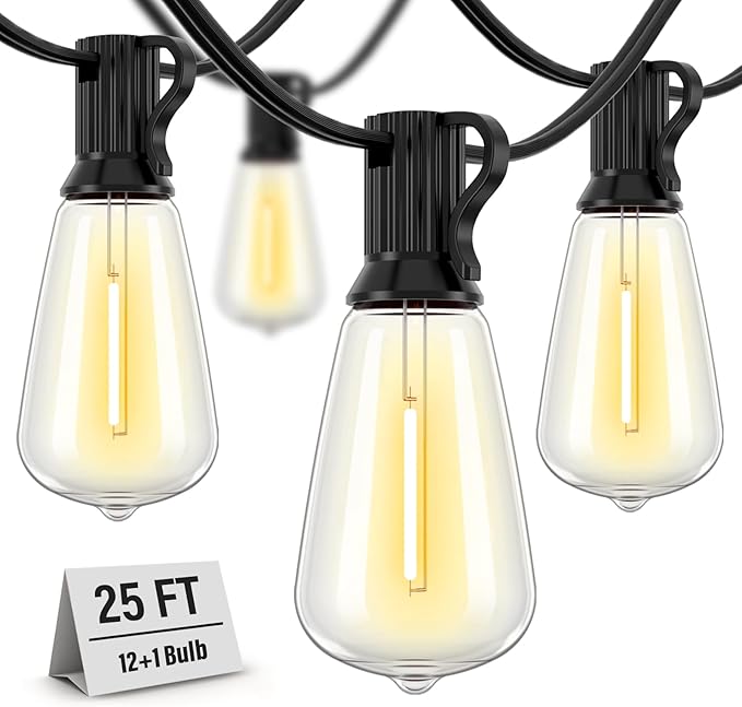 Outdoor String Lights Waterproof, 25 Feet With 12 Edison Bulbs