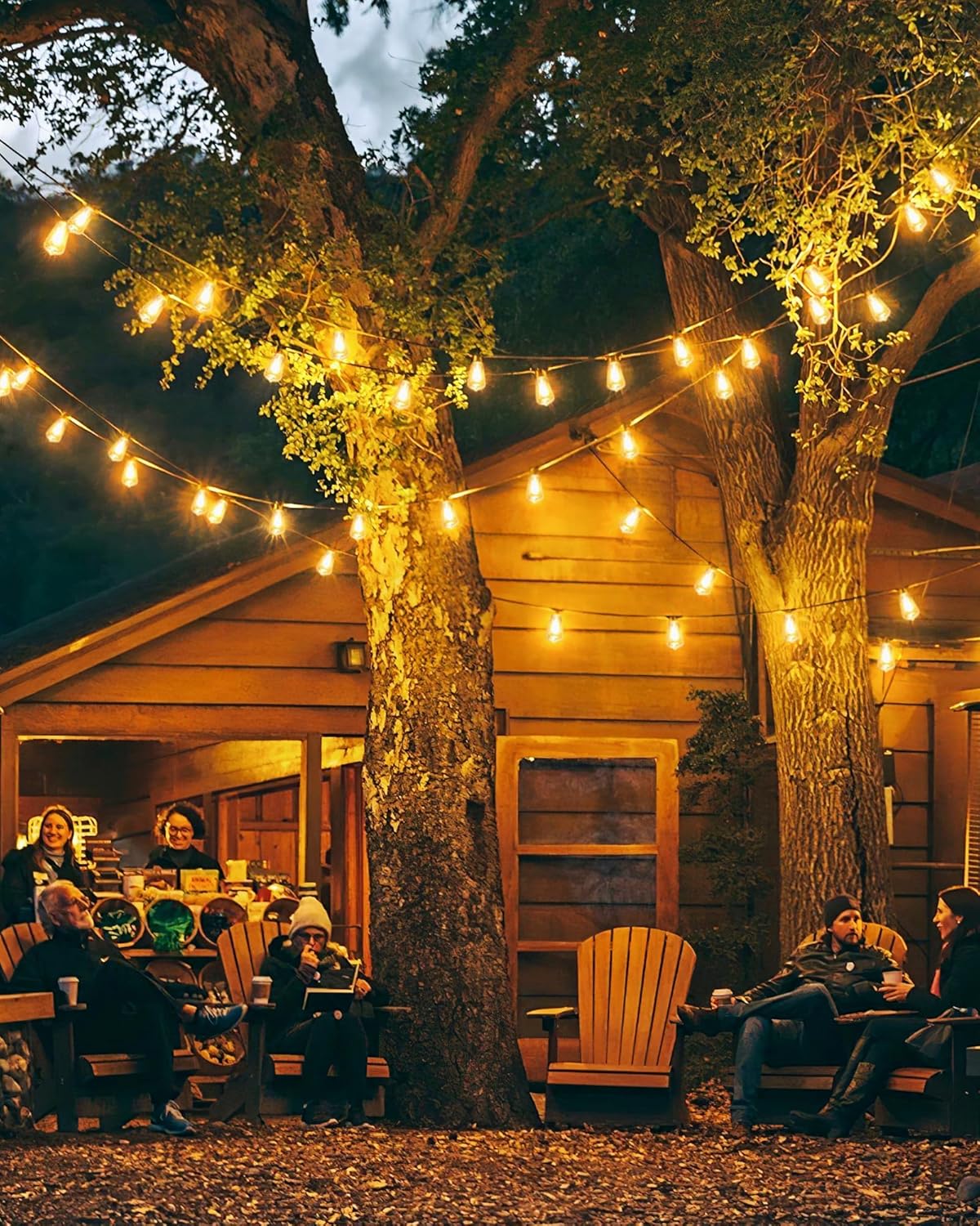 Outdoor String Lights Waterproof, 25 Feet With 12 Edison Bulbs